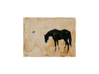 Canvas Print Black Horse | Equestrian Animal Wall Art