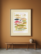 Great Barrier Reef Fishes II by William Saville-Kent – Natural History Marine Art Print
