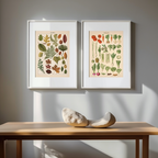 Adolphe Millot – Botanical Elegance Trio