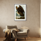 Golden Eagle by John James Audubon – Ornithological Art Print