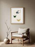Swallow and Butterflies by Taguchi Tomoki – Japanese Nature Art Print