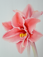 Wildflower Symphony – Colorful Nature Print - Hakyarts