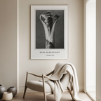 Aconitum by Karl Blossfeldt – Botanical Photography Art Print - Hakyarts