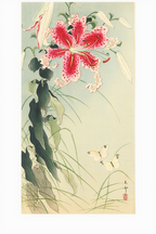 Lily and Butterflies – Ohara Koson Poster | Japanese Nature Art Print - Hakyarts