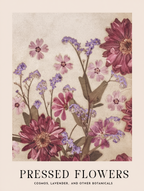 Botanical Melody – 6 Floral Prints | Mix & Match Wall Art Collection - Hakyarts