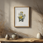 Large Flowered St. John’s Wort – Jane Loudon Poster | Botanical Illustration Art Print