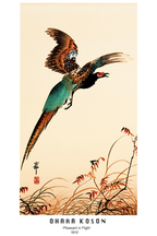 Pheasant in Flight – Ohara Koson Poster | Japanese Nature Art Print - Hakyarts