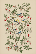 Hummingbirds Floral – 4 Prints