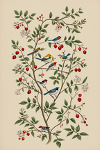 Hummingbirds Floral – 4 Prints
