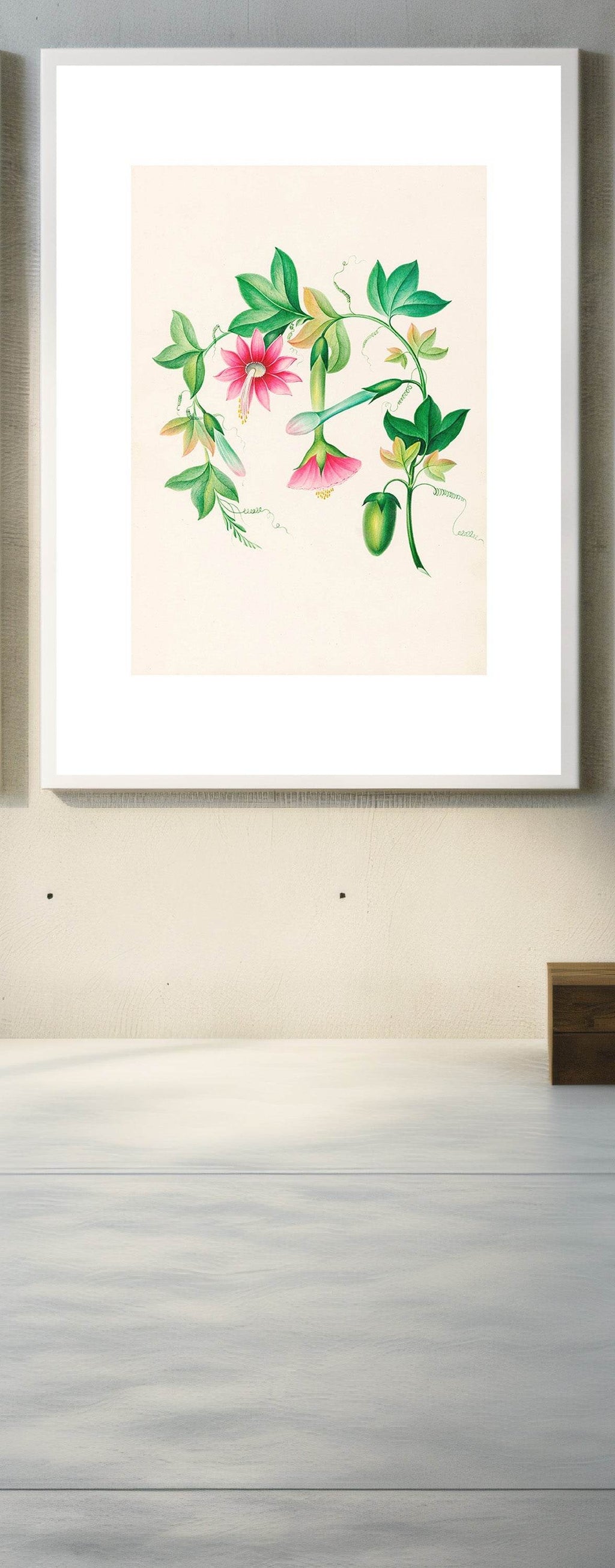 Drawings of tropical flowers and fruits, from South America Pl.03 - Hakyarts