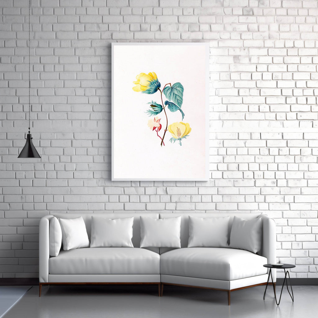 Drawings of tropical flowers and fruits, from South America Pl.05 - Hakyarts