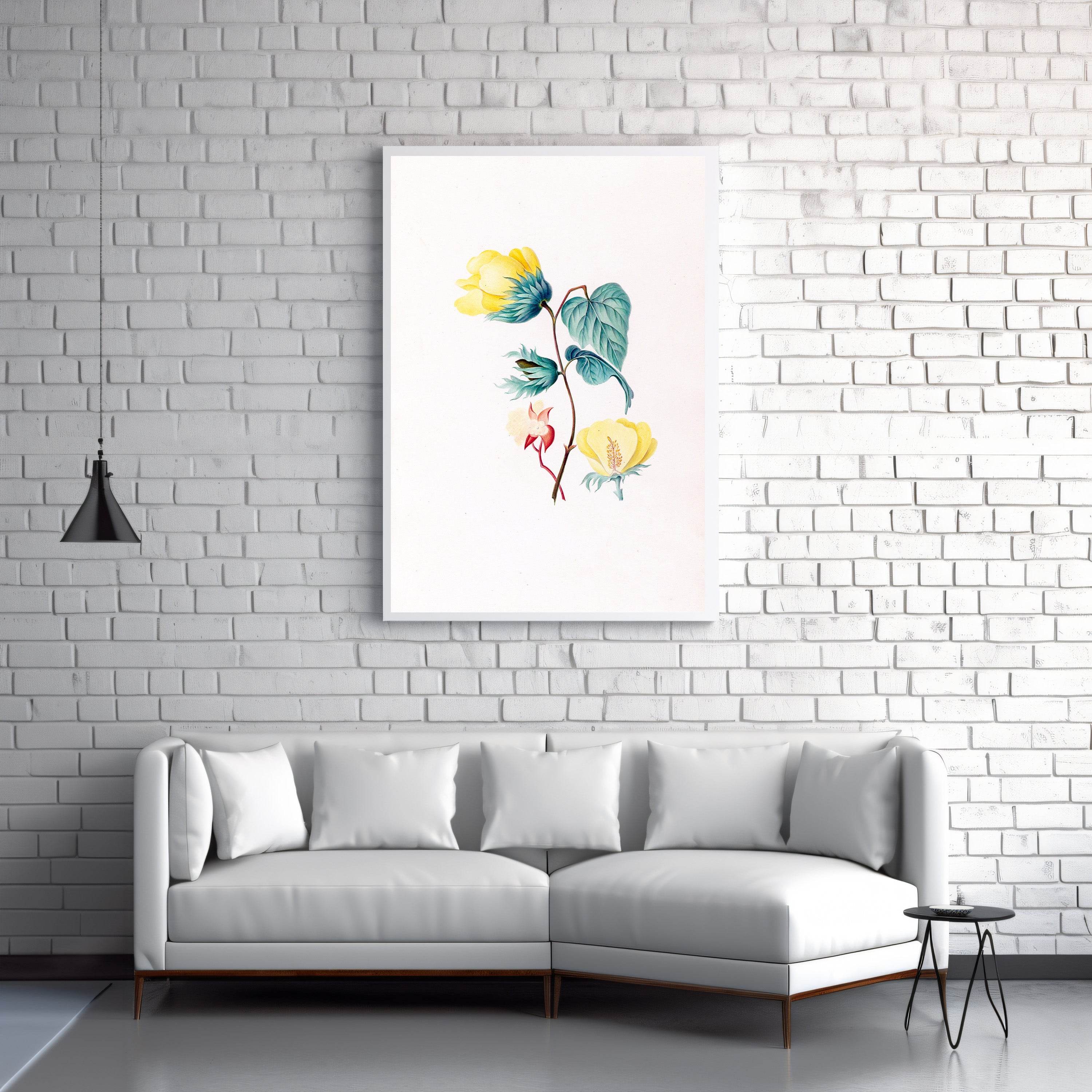 Drawings of tropical flowers and fruits, from South America Pl.05 - Hakyarts