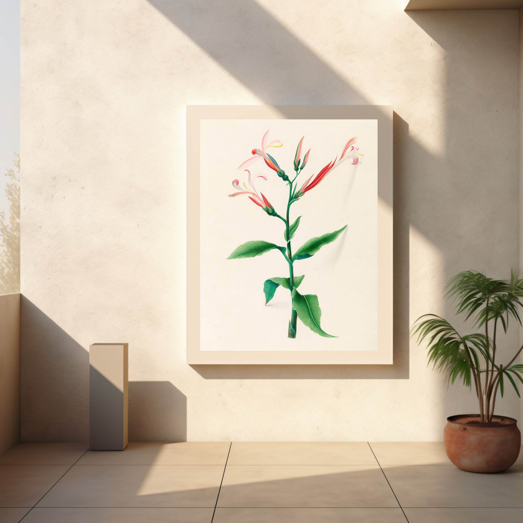 Drawings of tropical flowers and fruits, from South America Pl.17 - Hakyarts