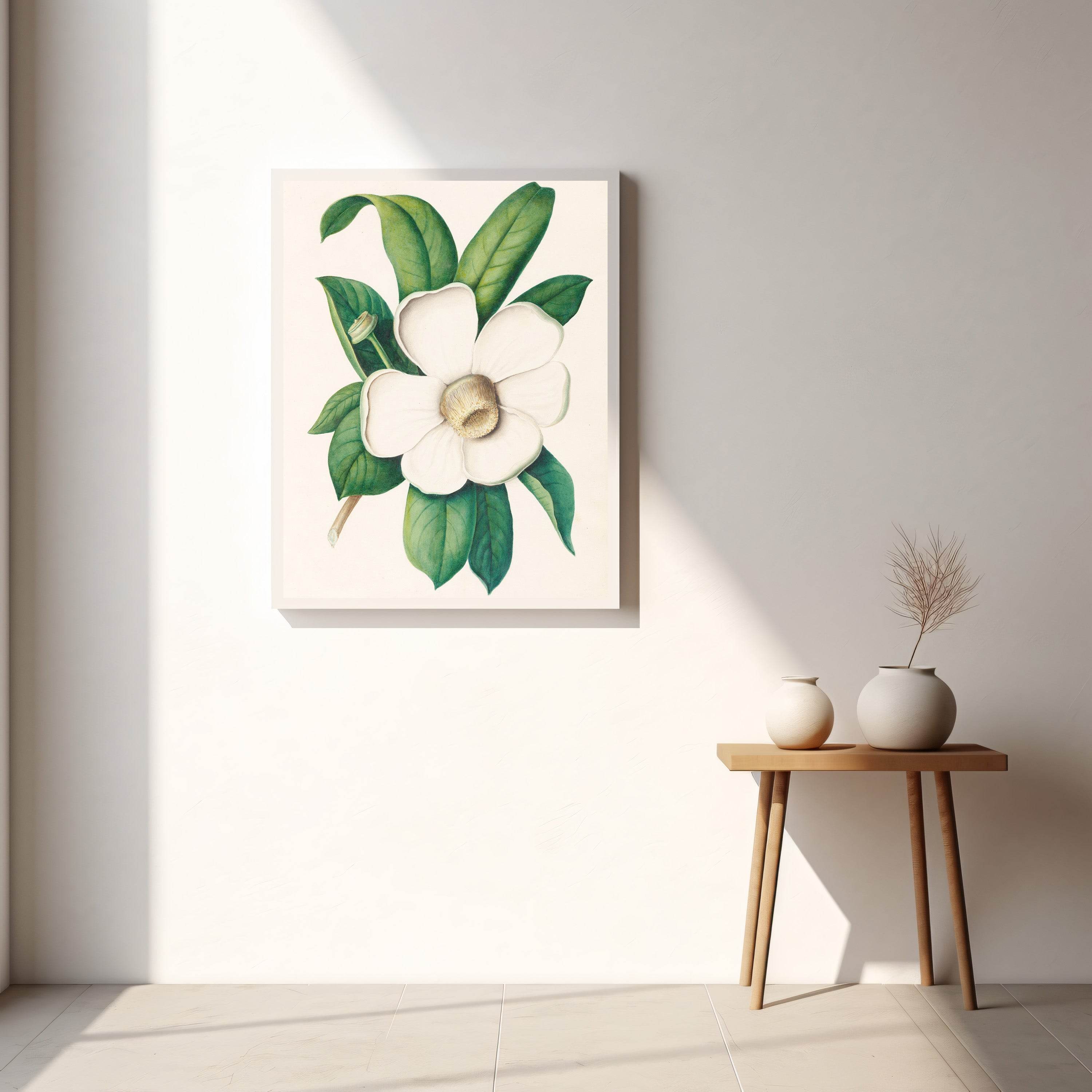 Drawings of tropical flowers and fruits, from South America Pl.25 - Hakyarts