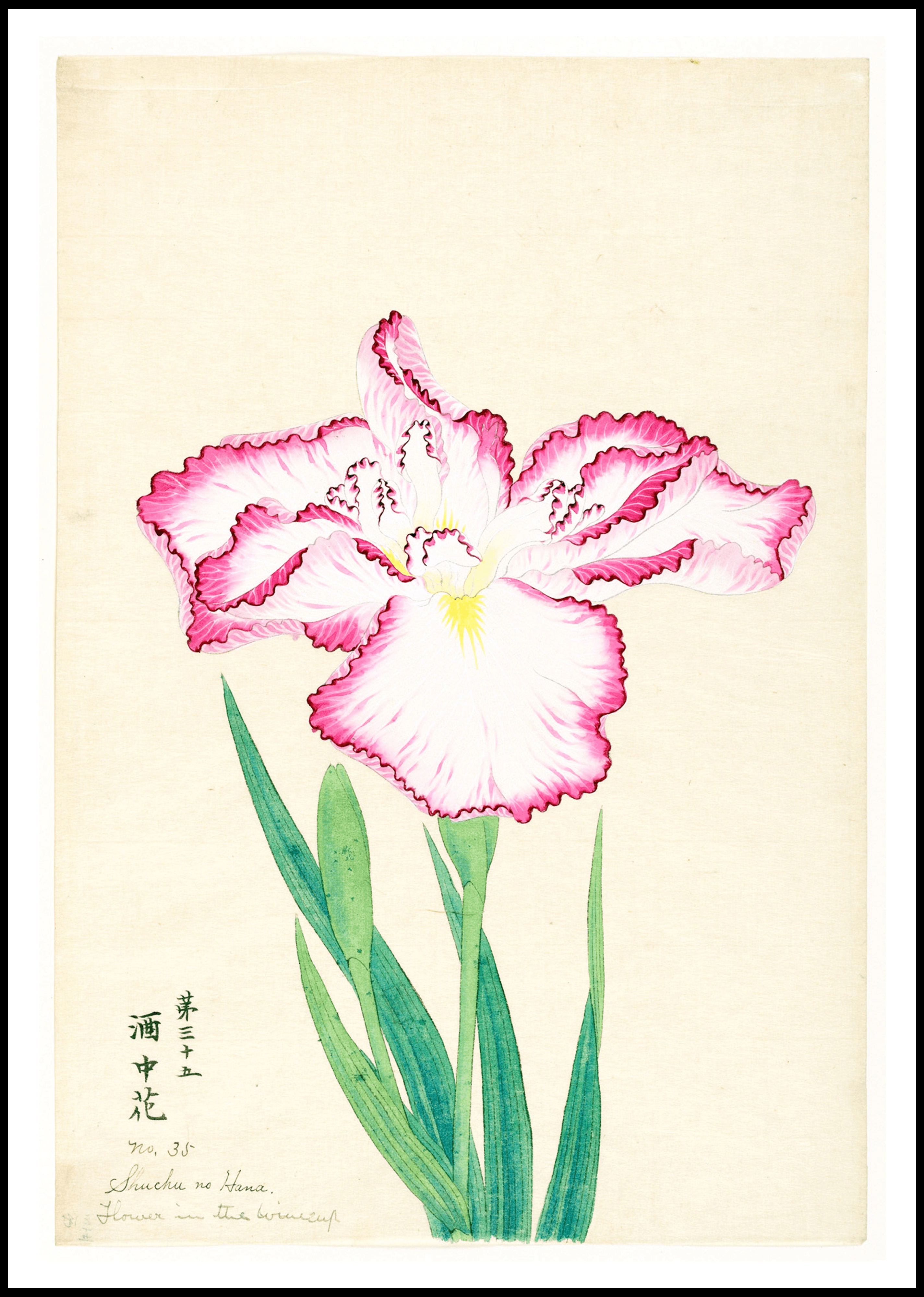 Flower in the Wine Cup - Hakyarts