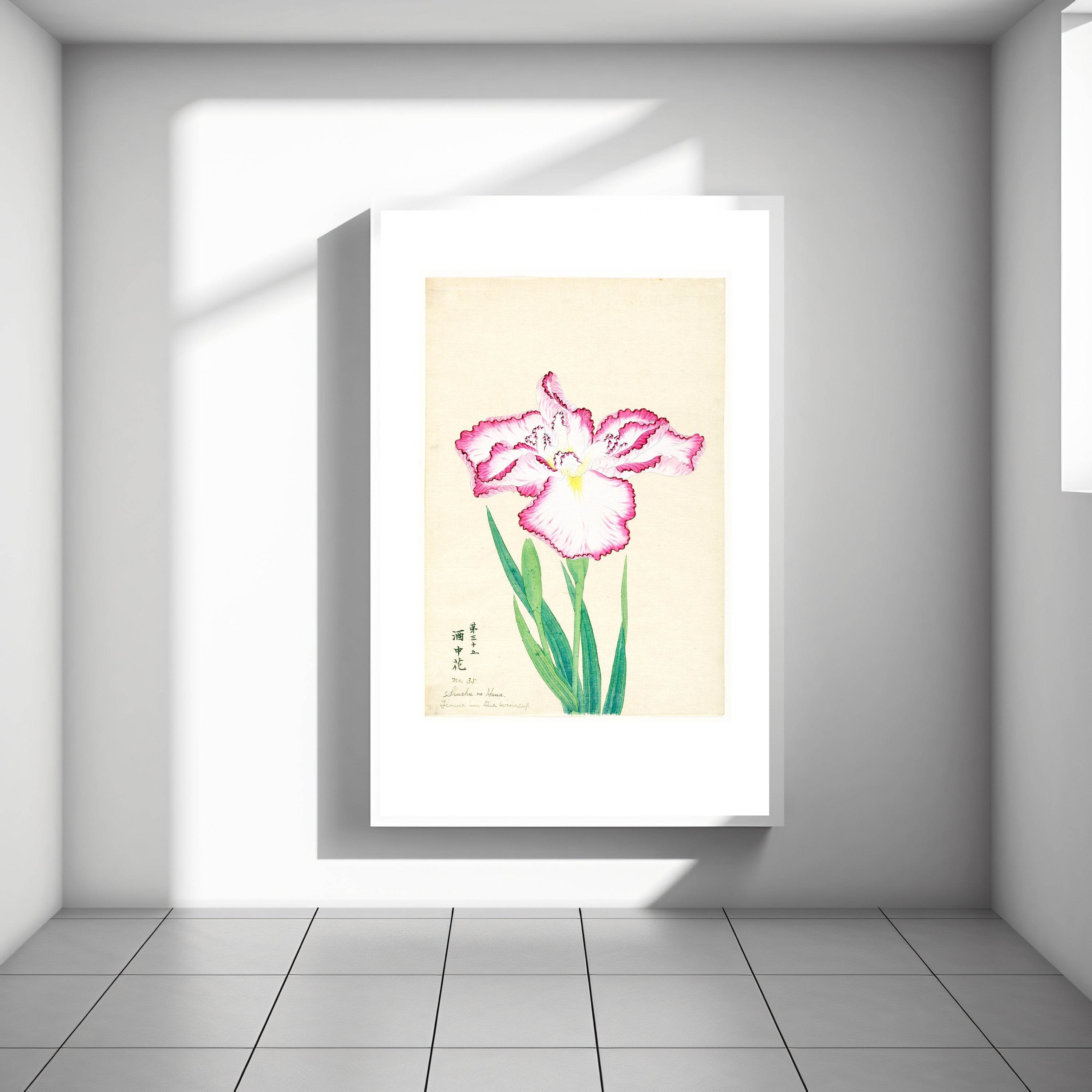 Flower in the Wine Cup - Hakyarts