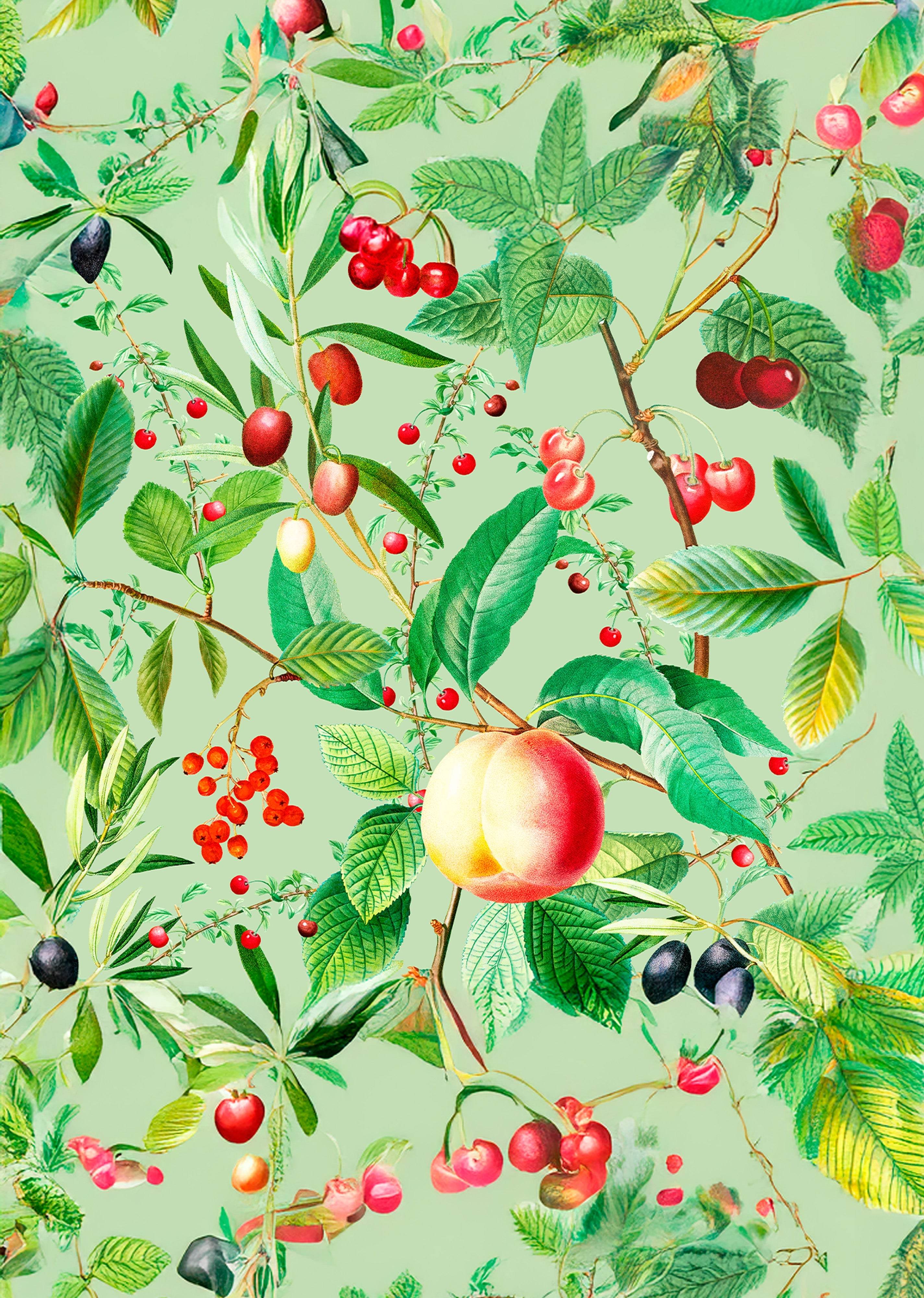 Golden Apple Poster - Hakyarts