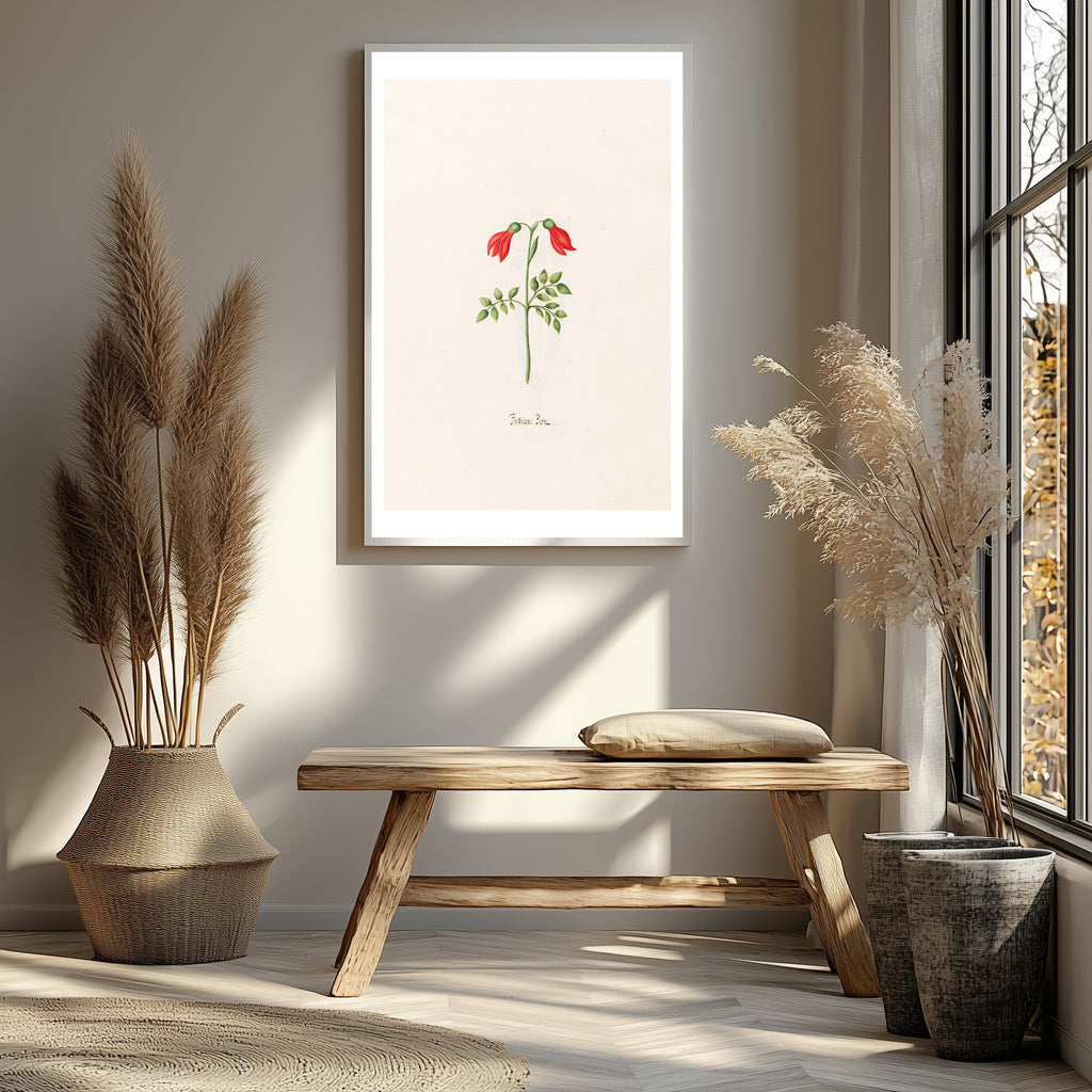 Magdelena Rosina Funck - Indian "Bon"