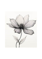 Floral Bloom Poster - Hakyarts