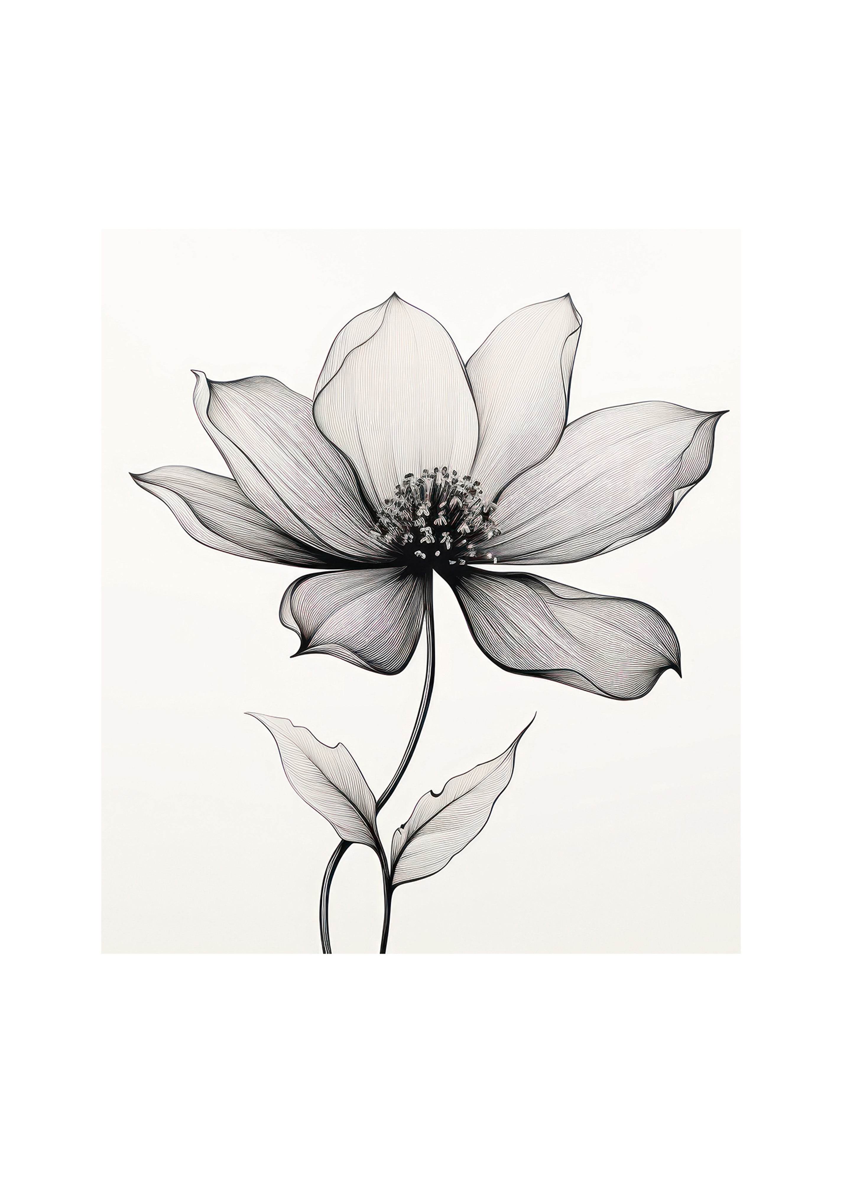 Floral Bloom Poster - Hakyarts