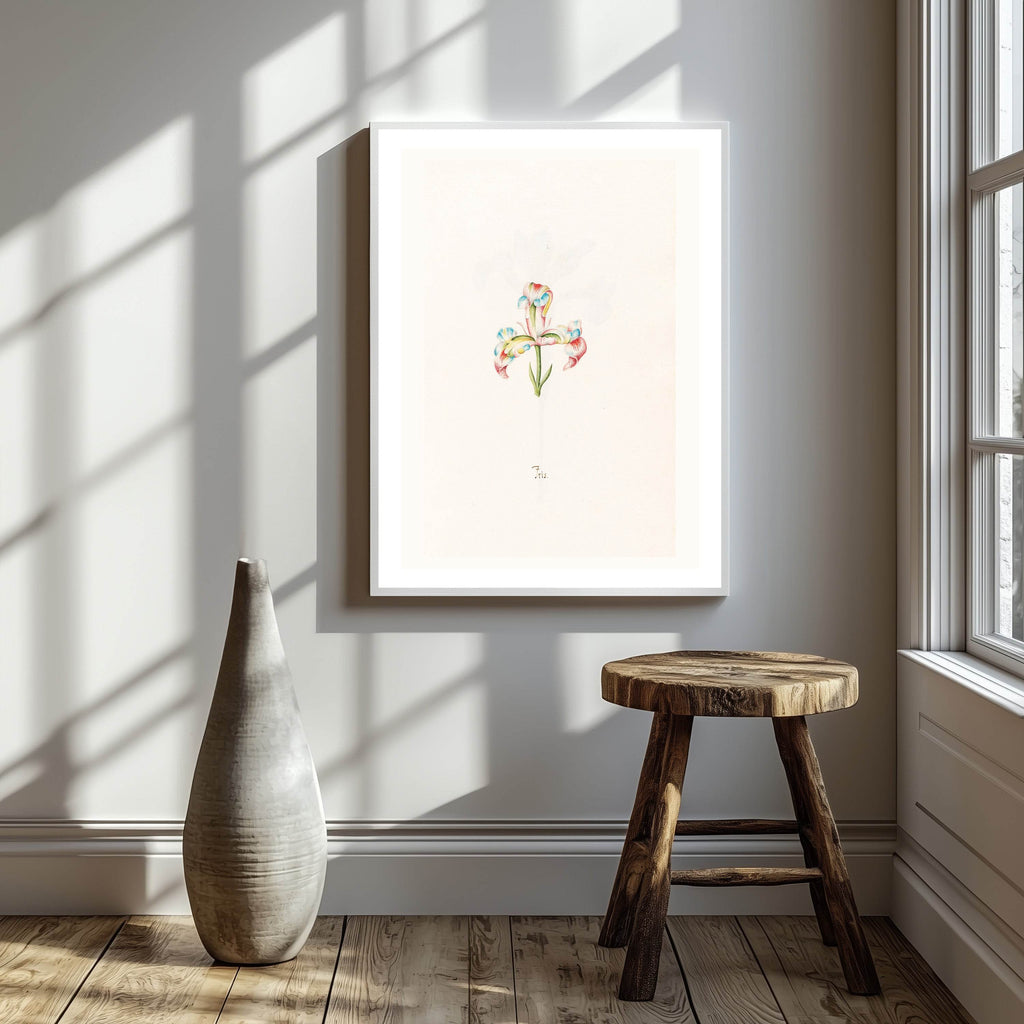 Iris N.2 – Magdalena Rosina Funck (1762) | Botanical Illustration Art Print