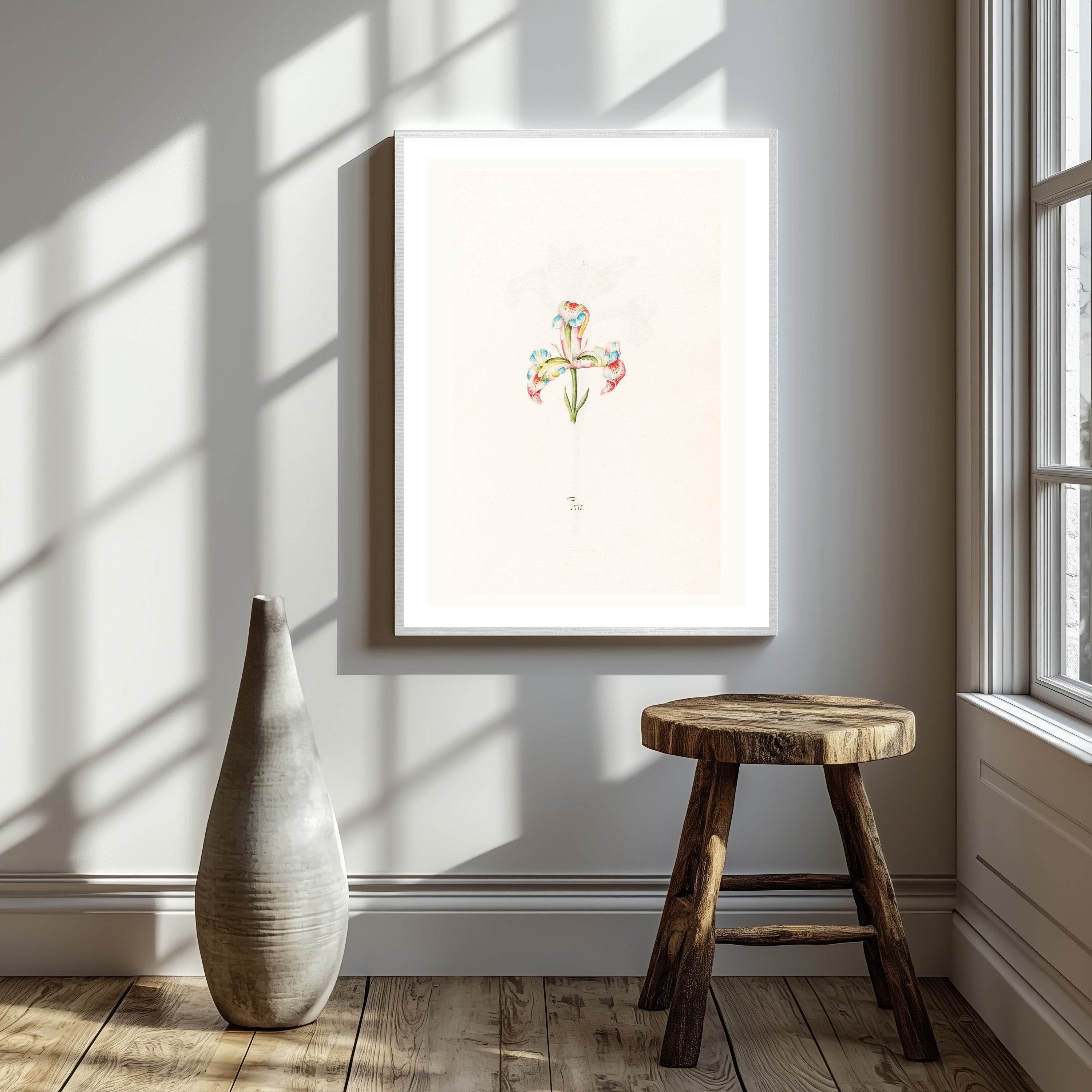 Iris N.2 – Magdalena Rosina Funck (1762) | Botanical Illustration Art Print