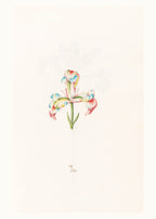 Iris N.2 – Magdalena Rosina Funck (1762) | Botanical Illustration Art Print - Hakyarts