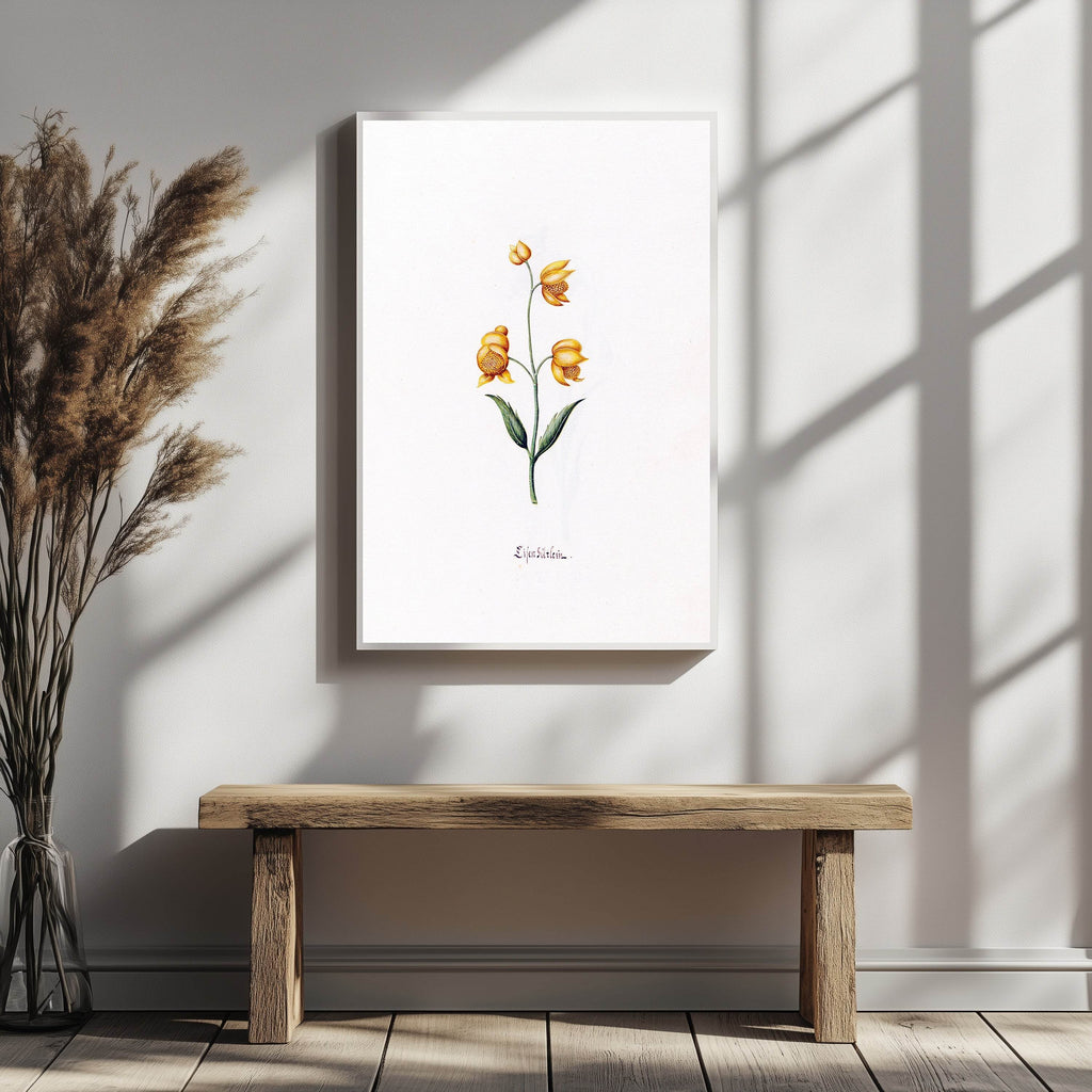 Magdelena Rosina Funck - Lilen gütlein - Hakyarts