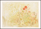 Small Garden - Hakyarts