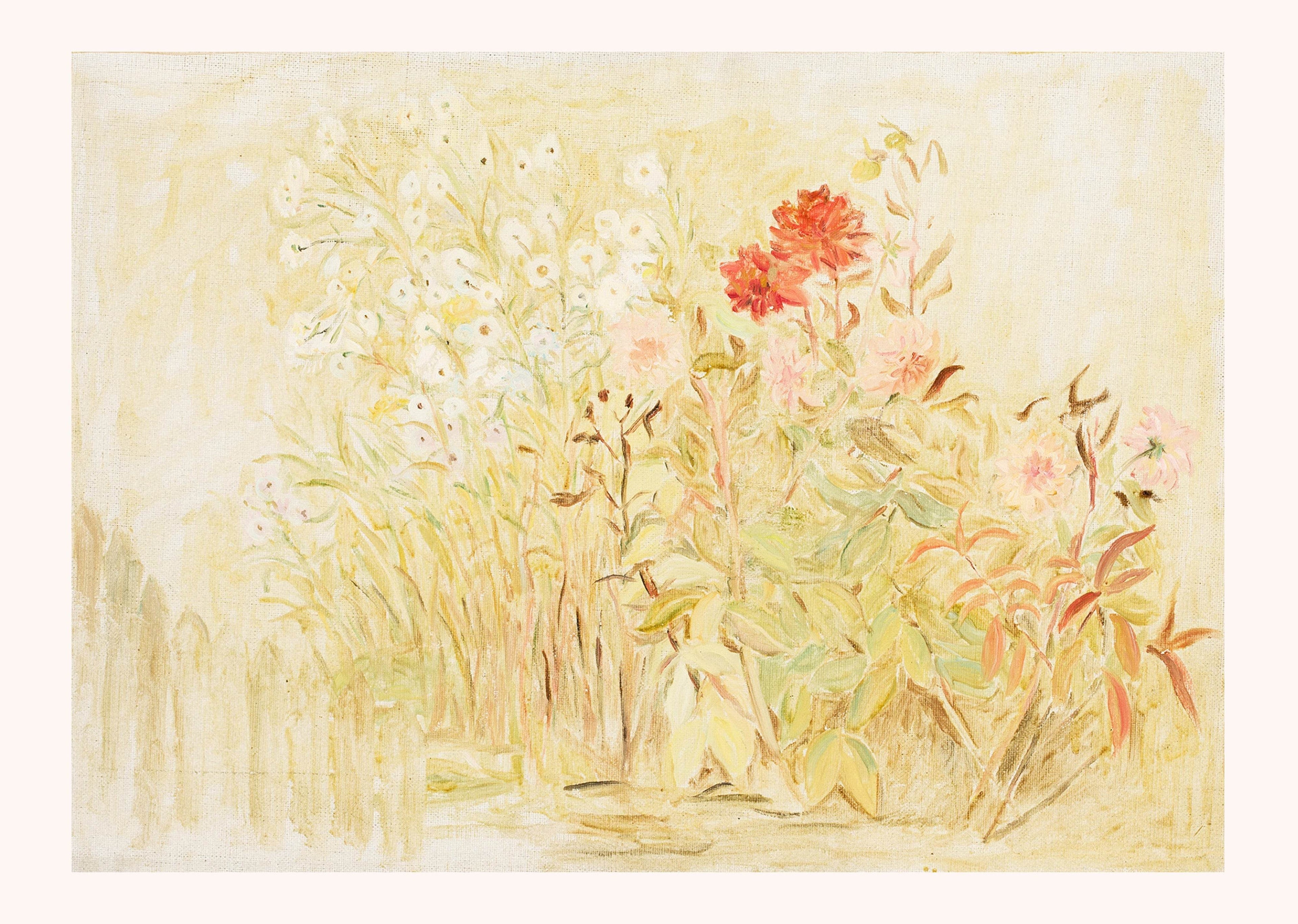 Small Garden - Hakyarts