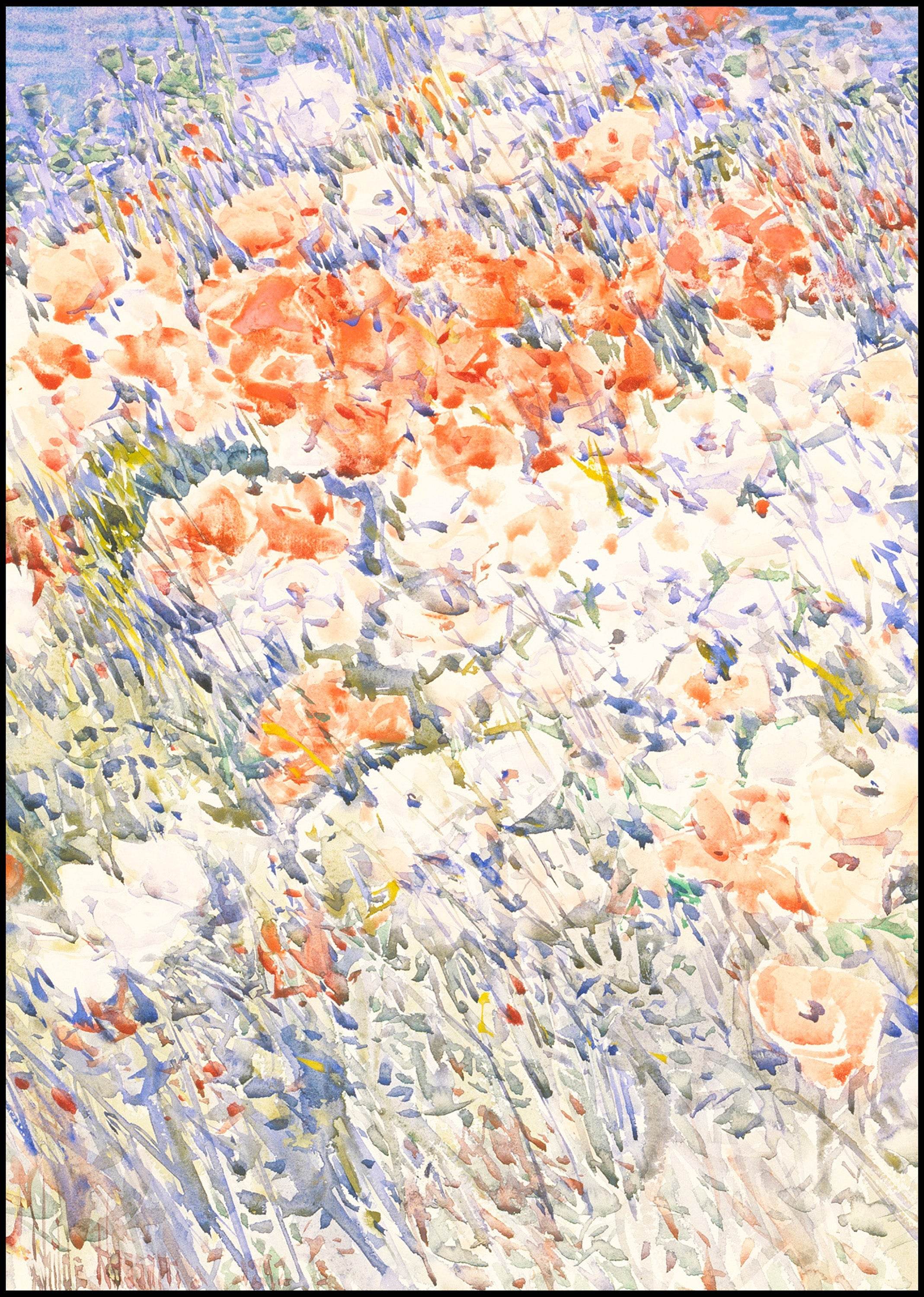 The Island Garden - Hakyarts