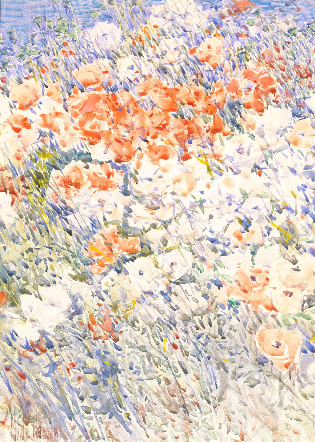 The Island Garden - Hakyarts