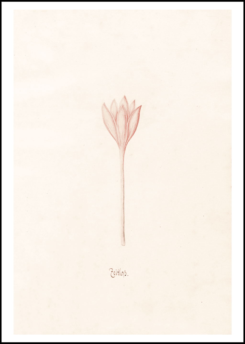 Magdelena Rosina Funck - Zeitloss - Hakyarts