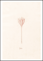 Magdelena Rosina Funck - Zeitloss - Hakyarts