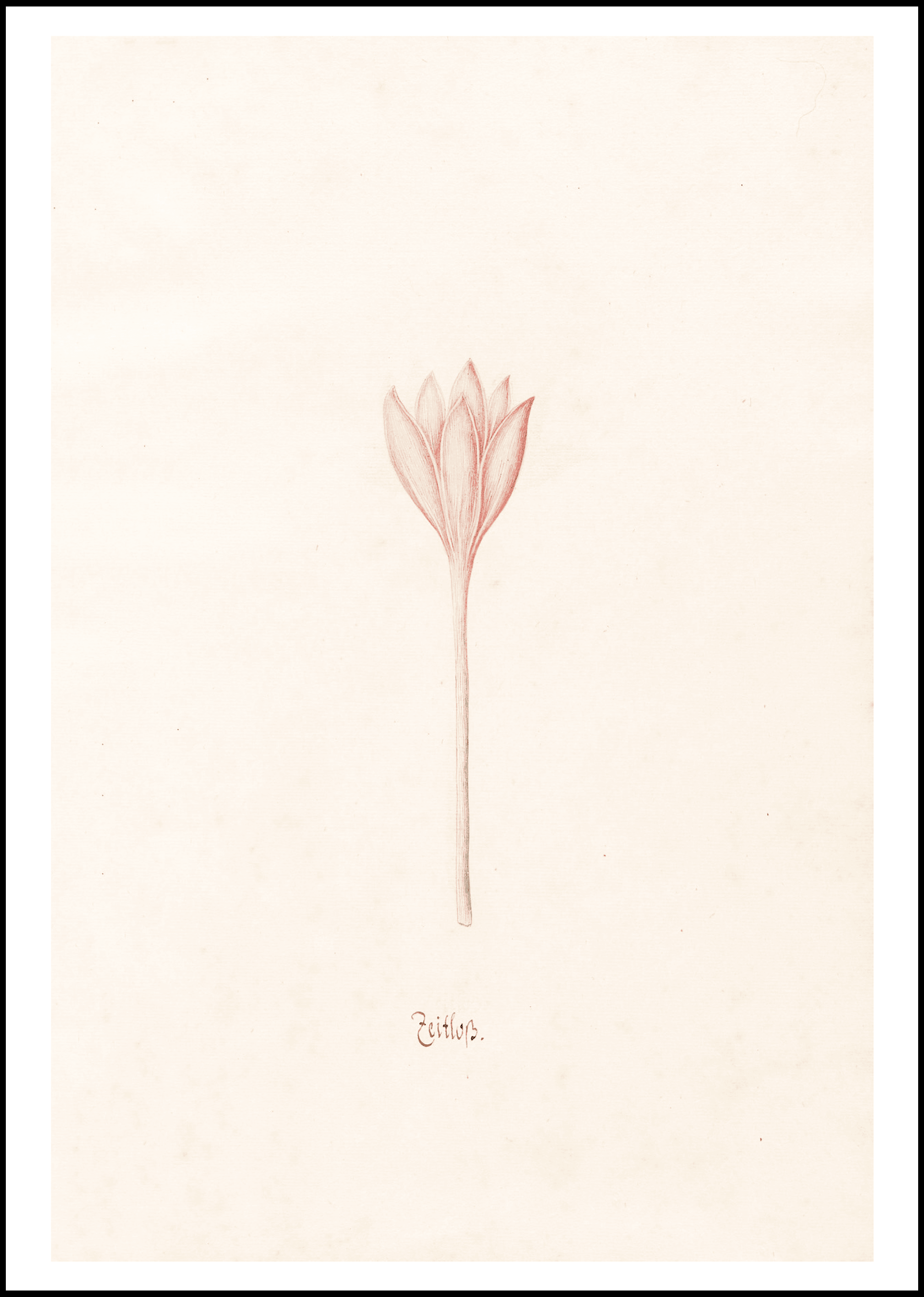 Magdelena Rosina Funck - Zeitloss - Hakyarts