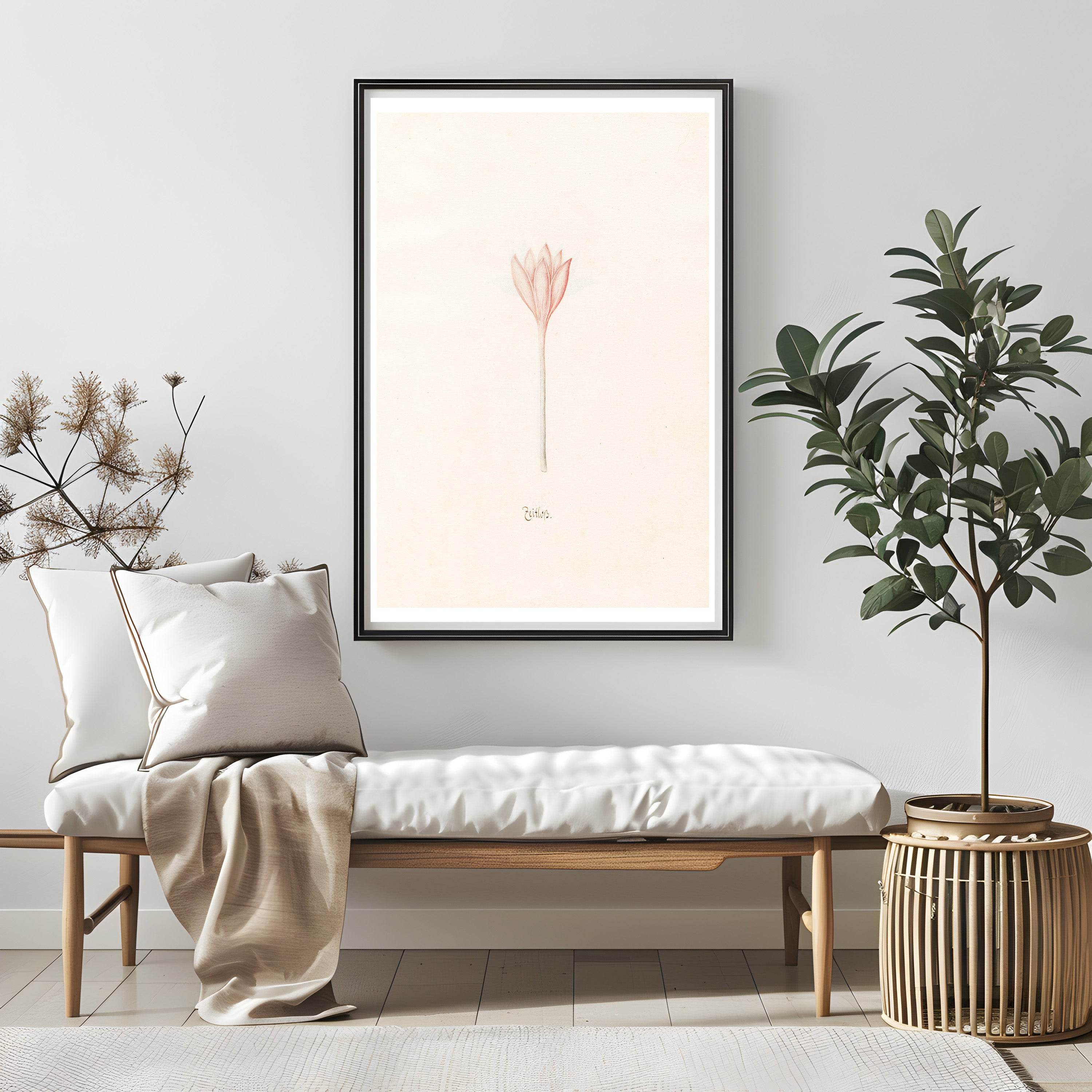 Magdelena Rosina Funck - Zeitloss - Hakyarts