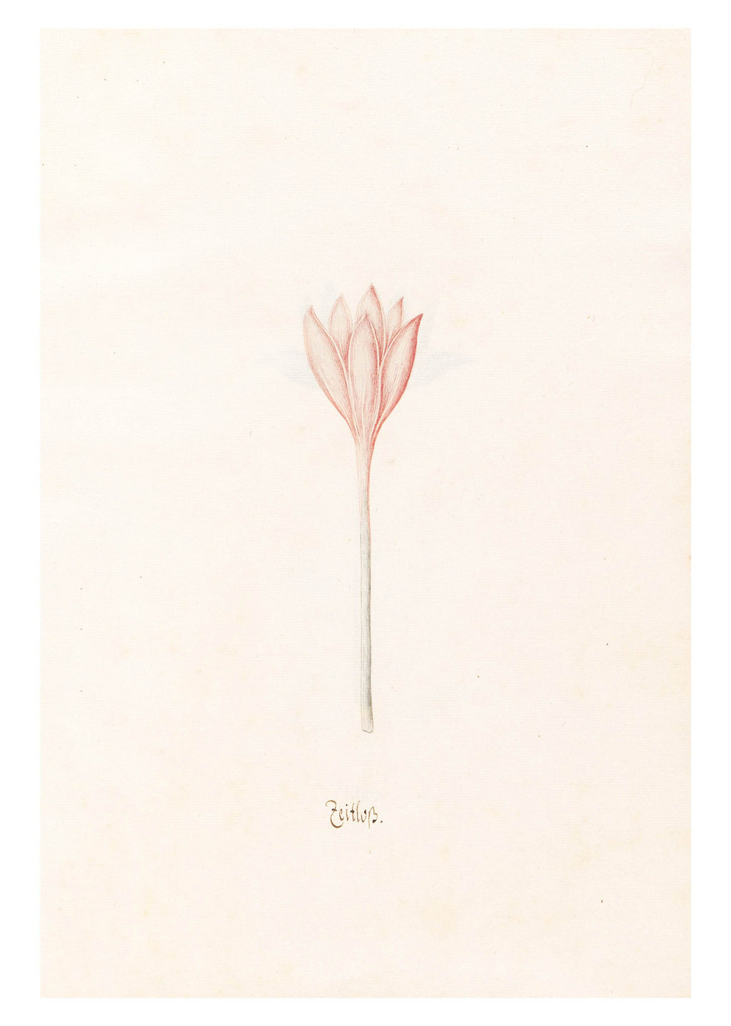 Magdelena Rosina Funck - Zeitloss - Hakyarts