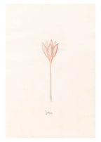 Magdelena Rosina Funck - Zeitloss - Hakyarts
