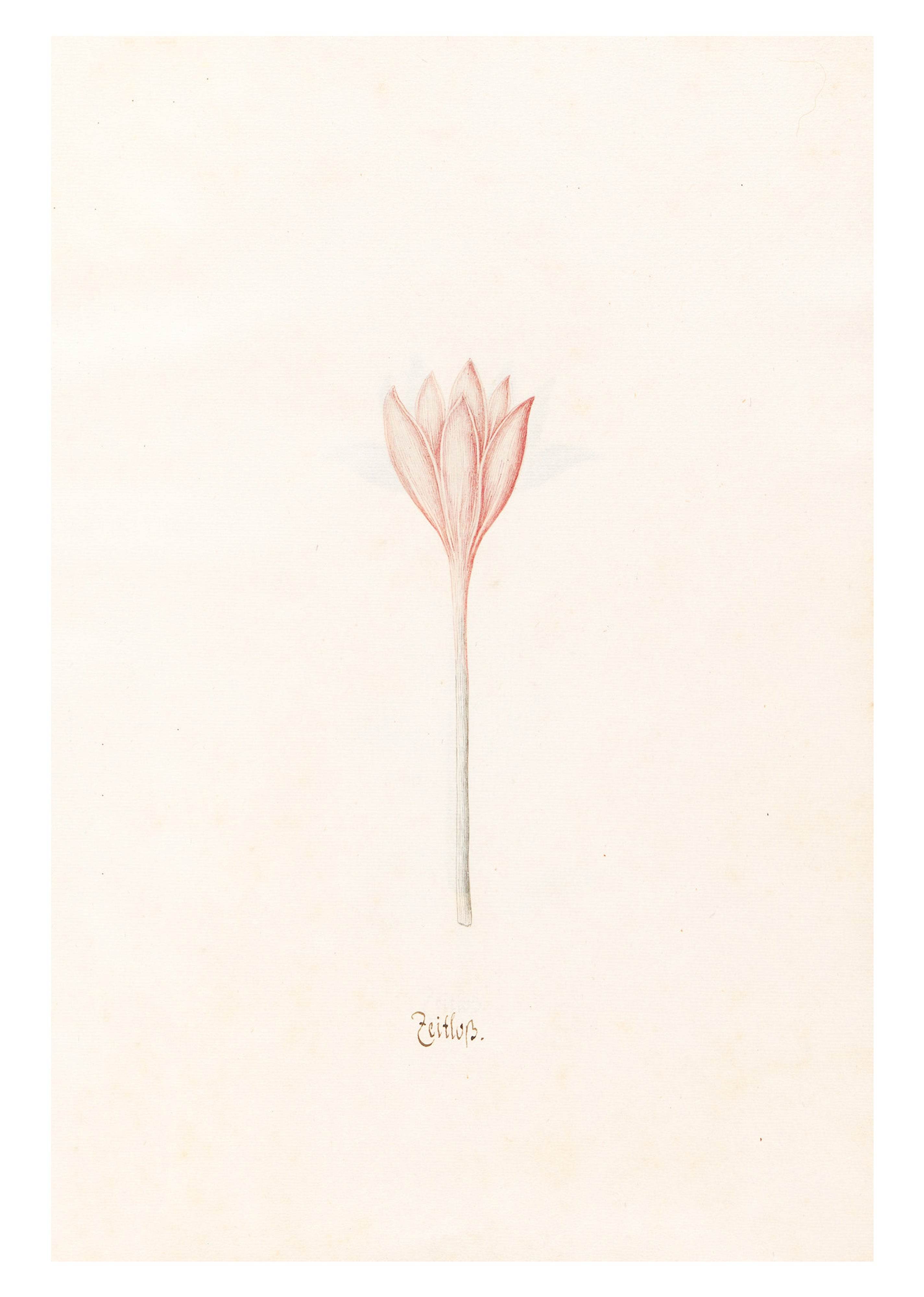 Magdelena Rosina Funck - Zeitloss - Hakyarts