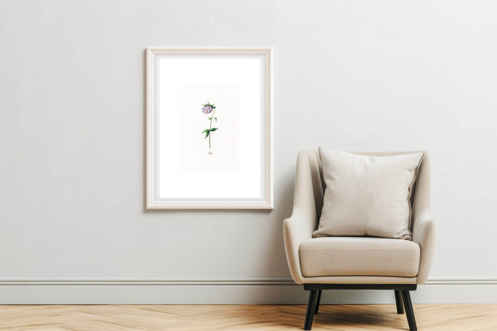 Magdelena Rosina Funck - Ackeleÿ - Hakyarts