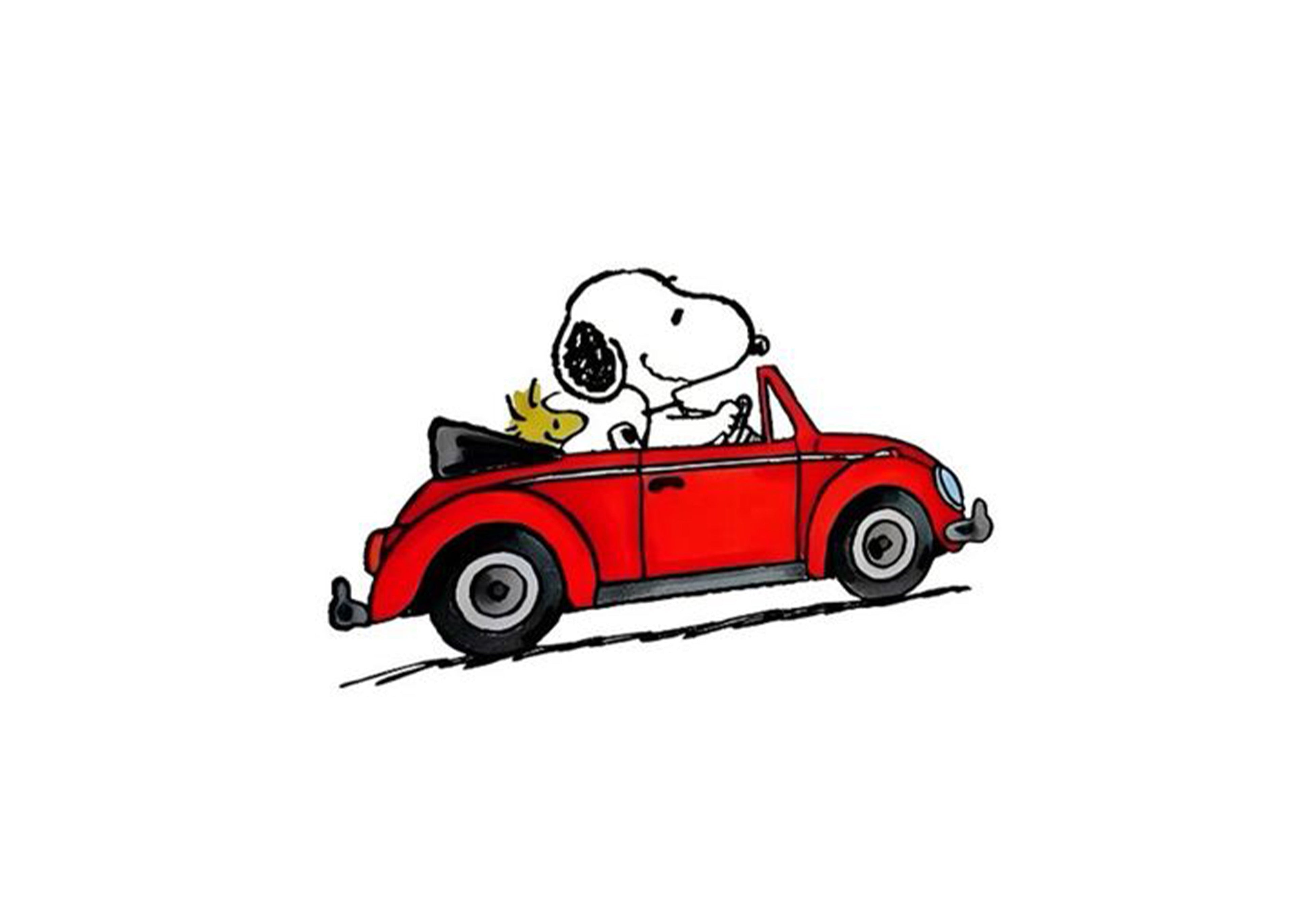 Snoopy In a Red Car