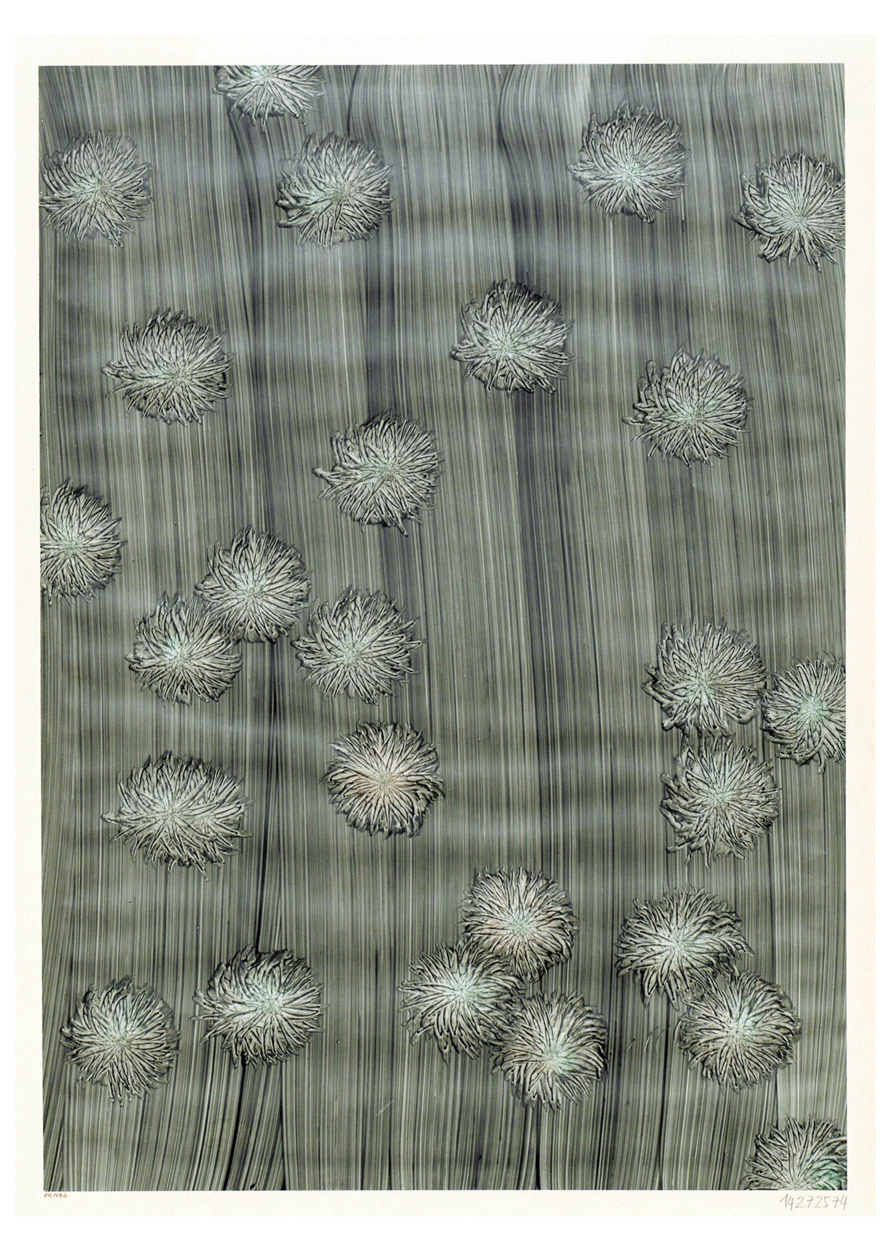 Mehrfarbiges Kleisterpapier - Hakyarts