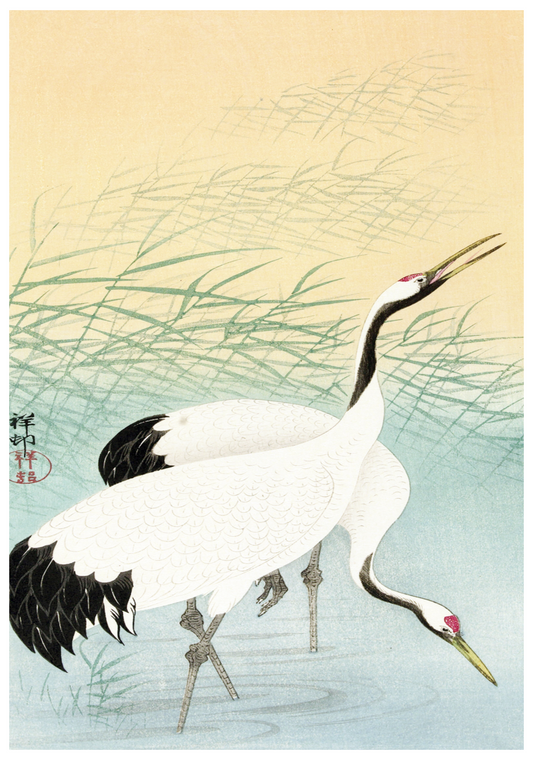 Ohara Koson - Two Cranes