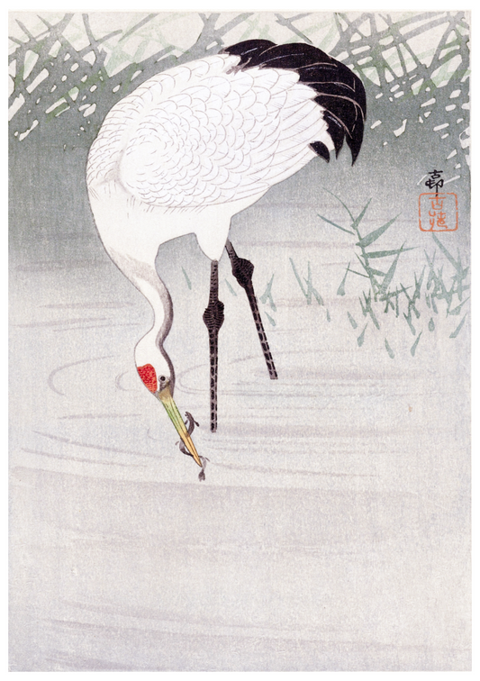 Ohara Koson - Fishing Crane in Shallow Water