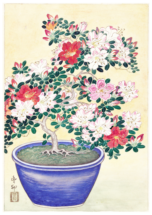 Ohara Koson - Flowering Azalea in Blue Pots