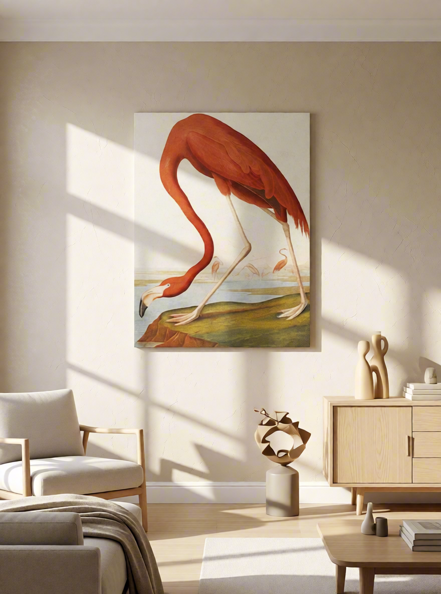 Canvas Print American Flamingo by John James Audubon – Ornithological Art