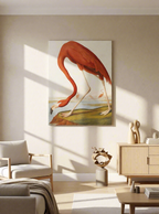 Canvas Print American Flamingo by John James Audubon – Ornithological Art