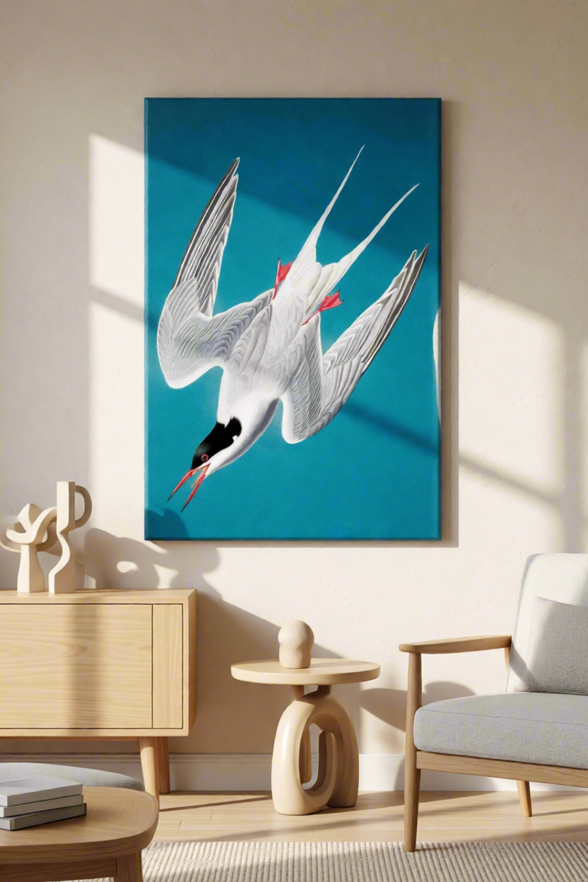 Canvas Print John James Audubon - Roseate Tern