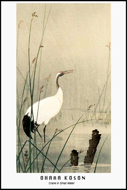 Ohara Koson - Crane in Small Water Poster