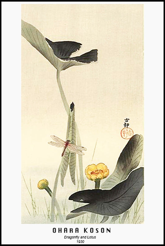 Ohara Koson - Dragonfly and Lotus Poster